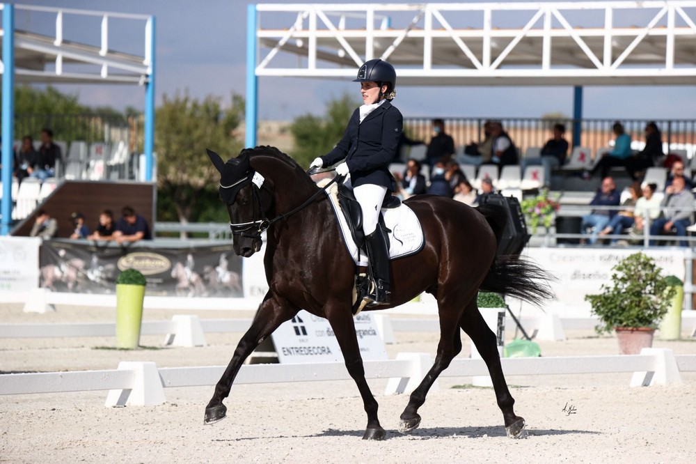 Tres concursantes navarros en el Campeonato de España Caballos Jovenes.